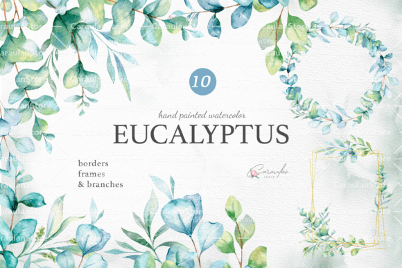 Download Eucalyptus Watercolor Clipart - Eucalyptus watercolor Collection