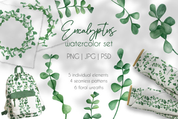 Download Eucalyptus Watercolor Clipart Collection - Eucalyptus watercolor Collection